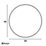 Renier mirror vector