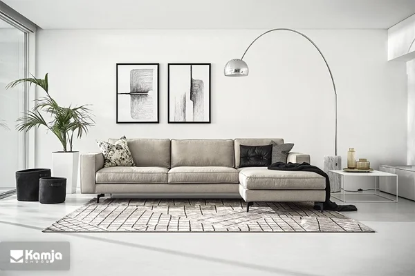 trending sofas 2024 album 3