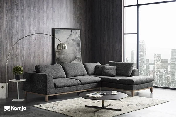 trending sofas 2024 album 8