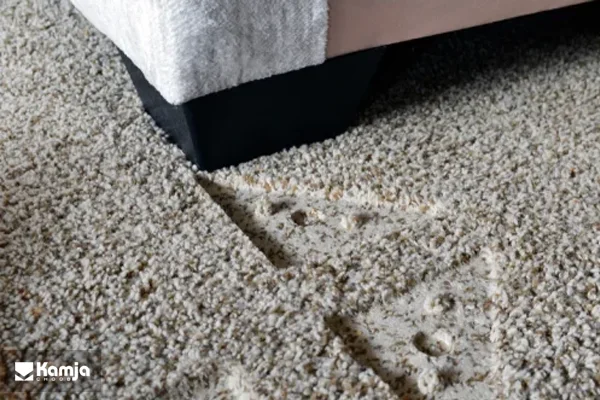 Removing sofa stains from carpet album 2
