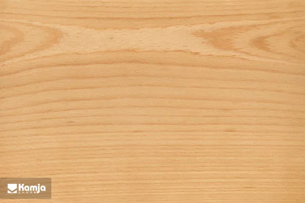 beech wood album 1