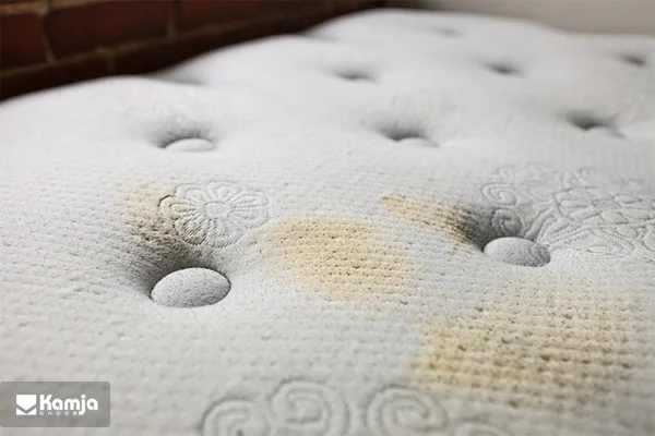 wash a bed mattress album 4