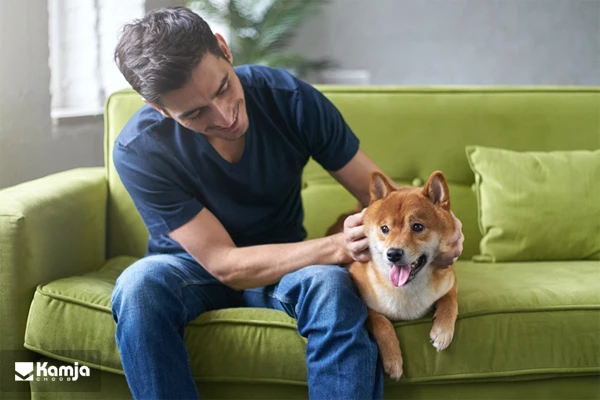 The sofa is suitable for pets album 6