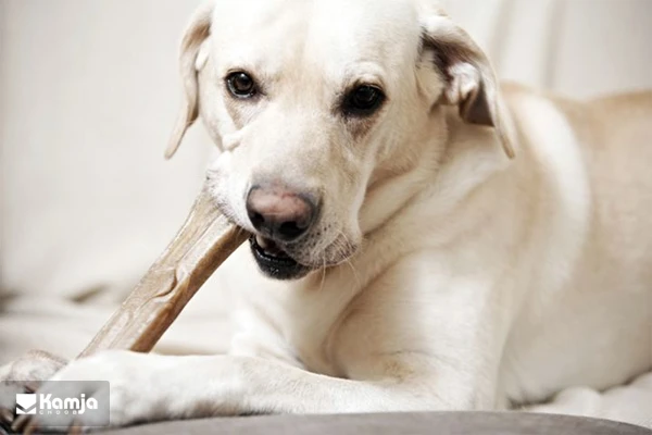 The sofa is suitable for pets album 7