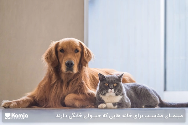مبلمان مناسب برای خانه هایی که حیوان خانگی دارند