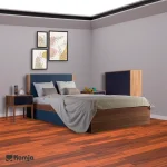 Renior life style album 1