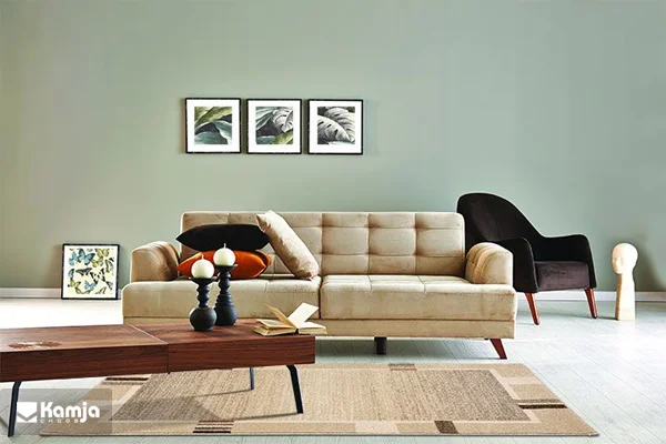 Brown sofa album 5