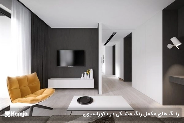 رنگ های مکمل رنگ مشکی در دکوراسیون